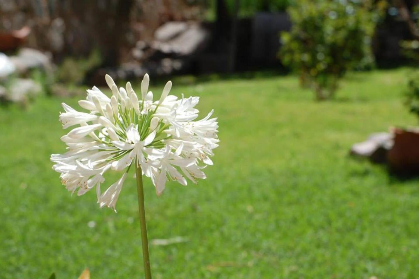 El Ensueno Villa Tilcara Bagian luar foto